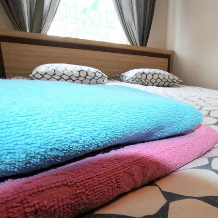 فندق مبيت وإفطار Slippers House 2*