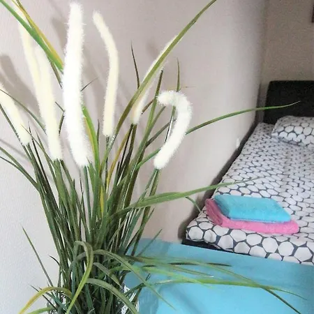 Slippers House Bed & Breakfast Vilnius